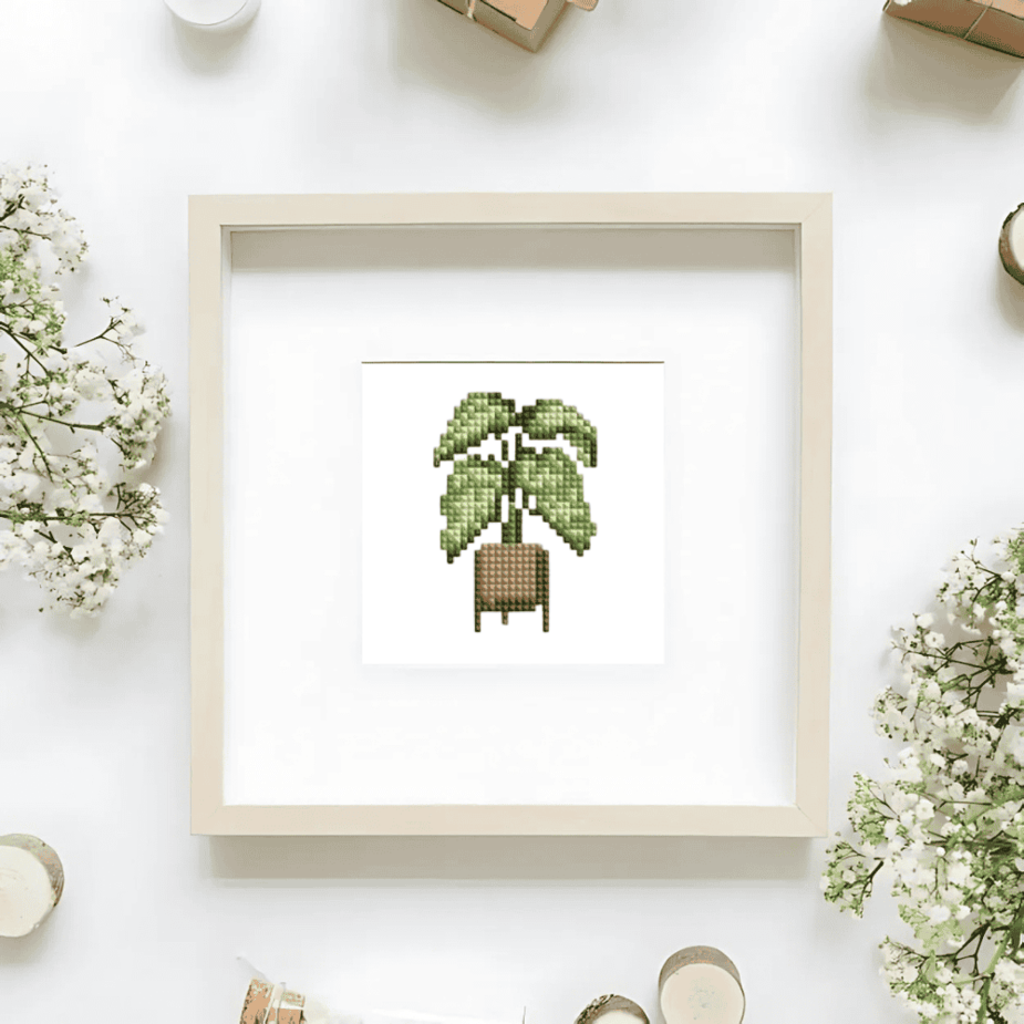 Naminiai augalai 1.0 2