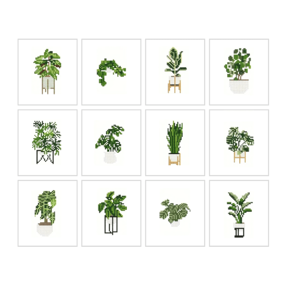 Naminiai augalai 2.0